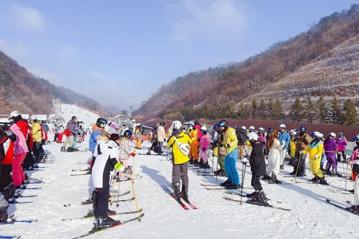 Premium Elysian Ski Tour(Clothing+Gear+Basic Lessons+Lift) - Key Points