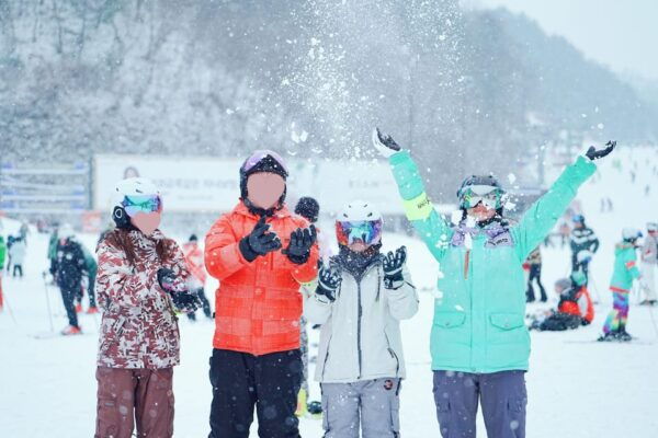 Premium Elysian Ski Tour(Intermediate Ski Full Package) - Questions You May Have