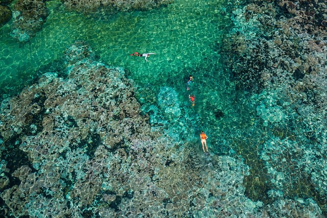 Premium Family Snorkeling Experience - Expectations and Accessibility