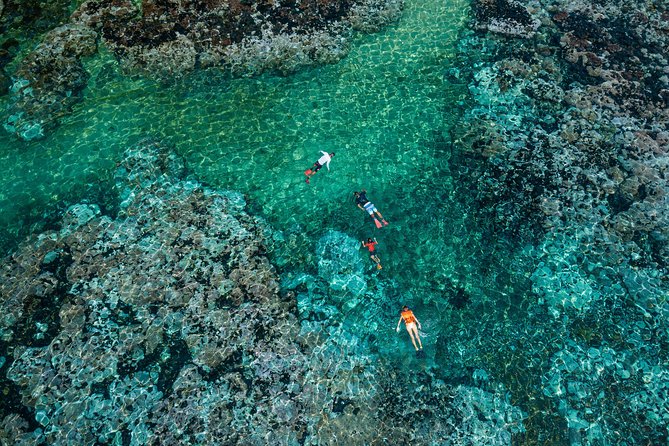 Premium Family Snorkeling Experience - Snorkel in Warm Pacific Waters
