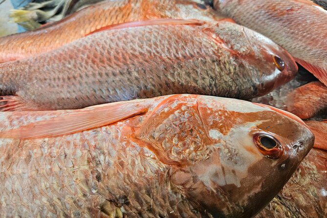 Premium Foodie Tour in Panama Casco Viejo - Frequently Asked Questions