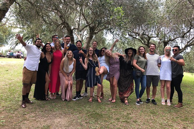 Premium Full Day Waiheke Wine Tour - Positive Reviews and Recommendations