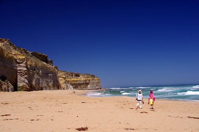 Premium Great Ocean Road Day Tour: Surf Coast Route 12 Apostles, Loch Ard Gorge - Tour Highlights and Itinerary