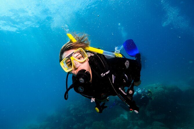 Premium Guided Dive Trip - Outer Great Barrier Reef - The Sum Up: Is This Tour Right for You?