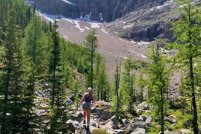 Premium Guided Hiking tours in Banff, Yoho & Kootenay - An In-Depth Look at What This Tour Offers
