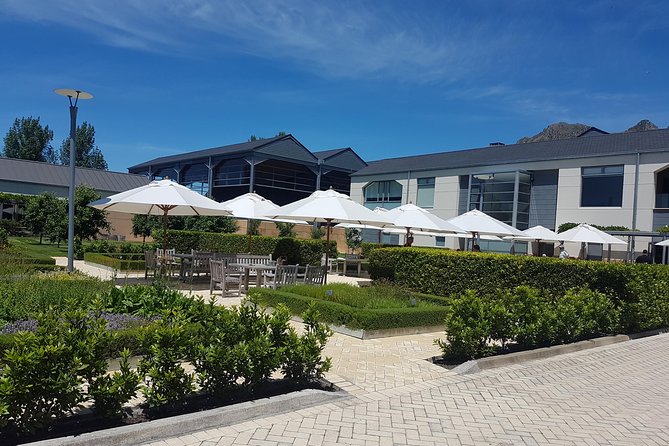 Premium Hawkes Bay Wine Country Private Tour - 6hrs - up to 10 People - Private Tour Option