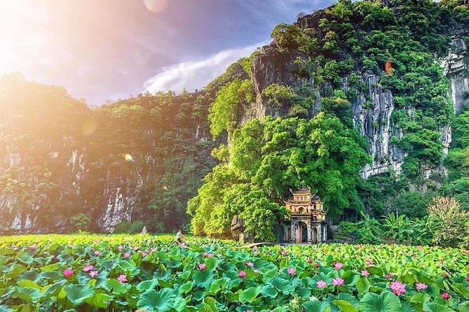 Premium Hoa Lu - Trang an - Mua Cave With Buffet Lunch From Hanoi - Terms and Conditions