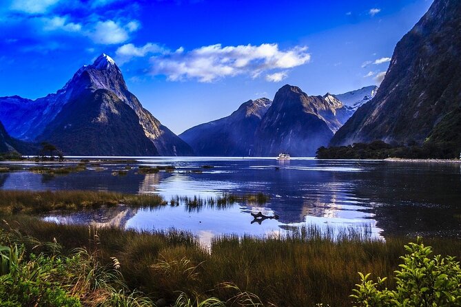 Premium Milford Sound Bus - Cruise - Fly Tour With Picnic Lunch From Queenstown - Tour Details