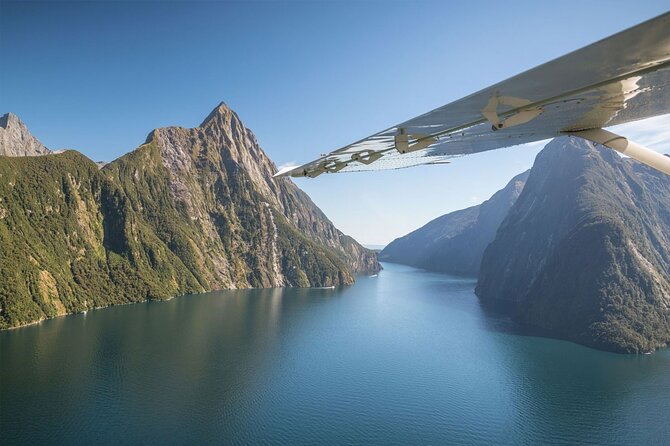 Premium Milford Sound Bus - Cruise - Fly Tour With Picnic Lunch From Queenstown - Common Questions
