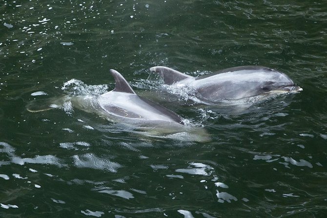Premium Milford Sound Small Group Tour, Cruise & Picnic Lunch From Queenstown - Memorable Experience and Positive Feedback on Staff