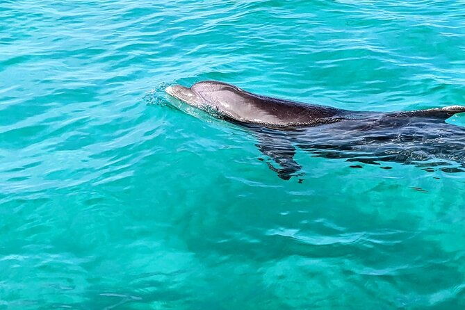 Premium Non-Private 3 Hour Crab Island and Eco Tour with Bathroom - The Full Experience: What to Expect on the Tour