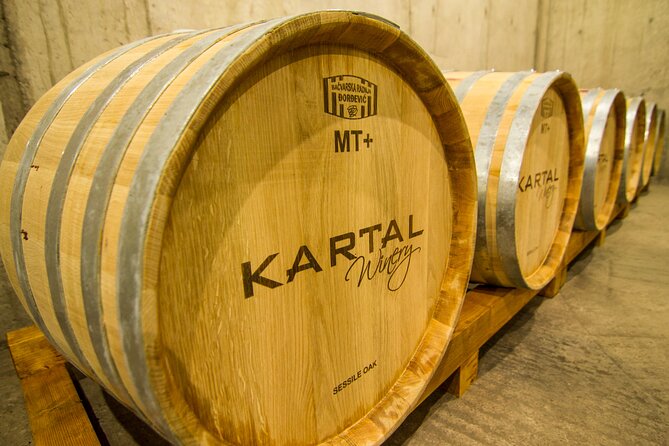 Premium Oak Aged Wines Tasting Tour in Family Winery Kartal in Skopje - Winery Location