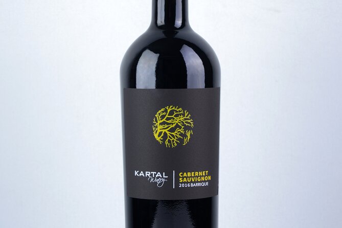 Premium Oak Aged Wines Tasting Tour in Family Winery Kartal in Skopje - What to Expect