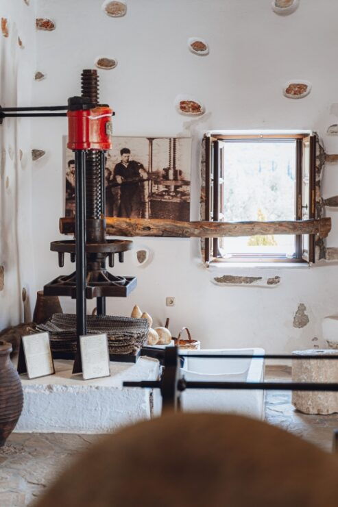 Premium Olive- Oil Tasting and Naxian Food Pairing - Event Overview