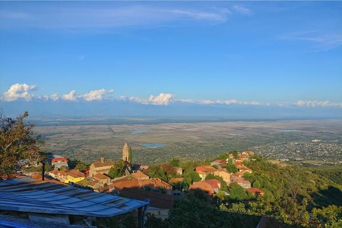 Premium & Organic Wine Tour in Kakheti - Additional Information