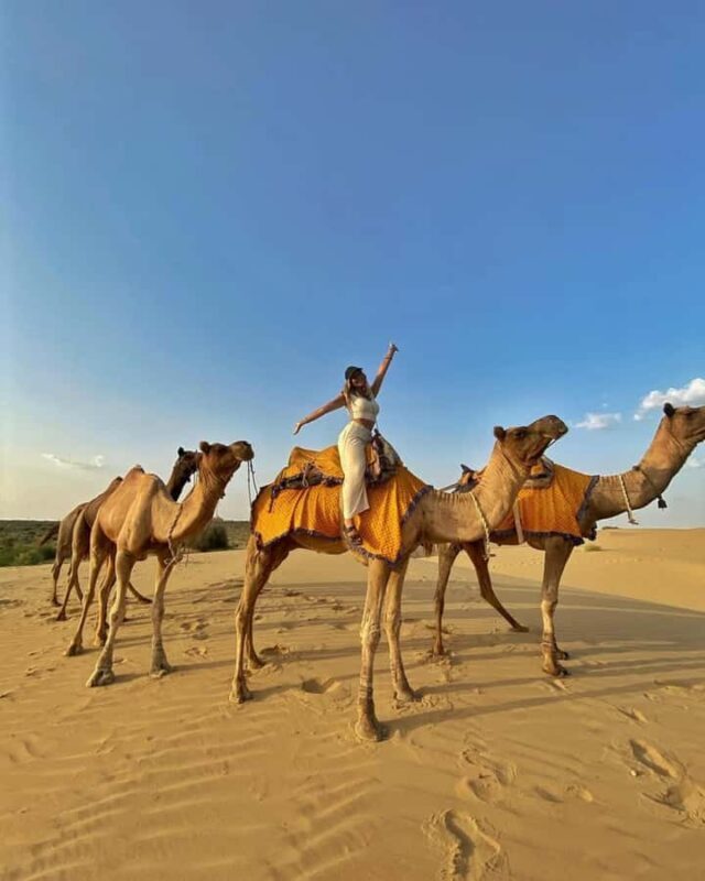 Premium Overnight Desert Safari, Camel Ride & Magical Sunset - Final Thoughts