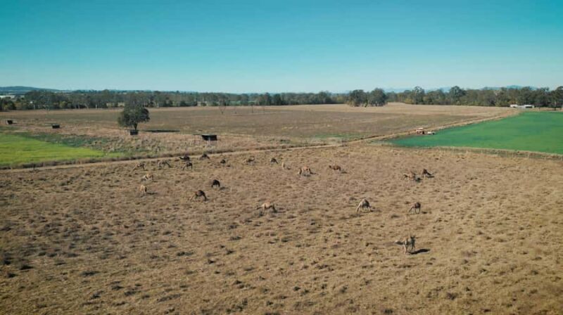 Premium Paddock to Plate Experience - Final Thoughts