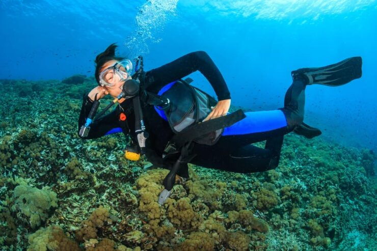 Premium PADI Open Water Course(3 Days 6 Dives) - Key Points