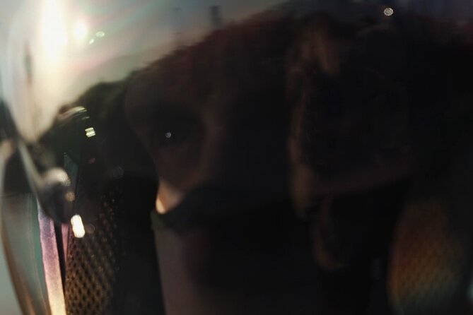 Premium Passenger Motorcycle Dubai City Private Tour - Pickup Points and Start Time