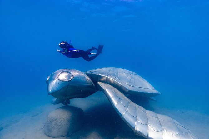 Premium Private Charter Experience in Whitsundays - Overview of the Experience