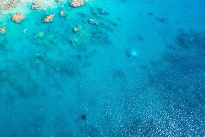 Premium Private Charter Experience in Whitsundays - Reviews