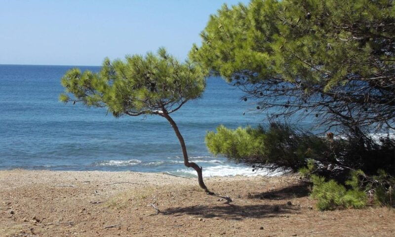Premium Private Cruise from Castellabate: Cilento Coast - Good To Know