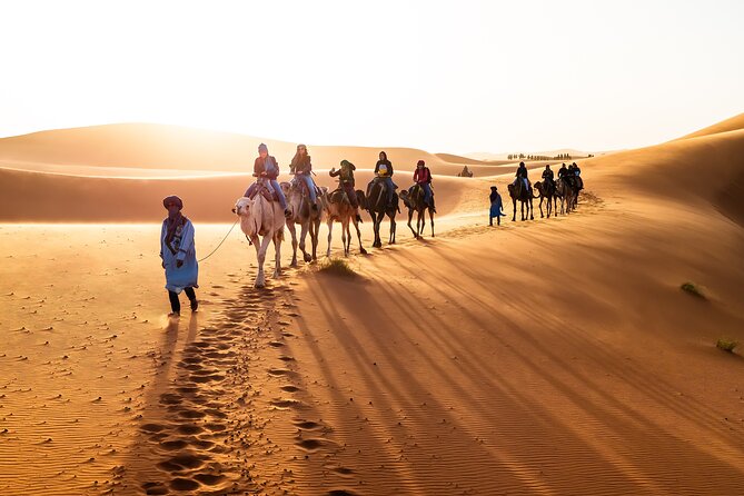 Premium Private Desert Adventure 3 Days Marrakech To Fez Luxury - Meals and Dining Options