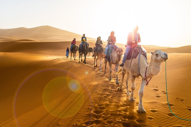Premium Private Desert Adventure 3 Days Marrakech To Fez Luxury - Pricing and Cancellation Policy