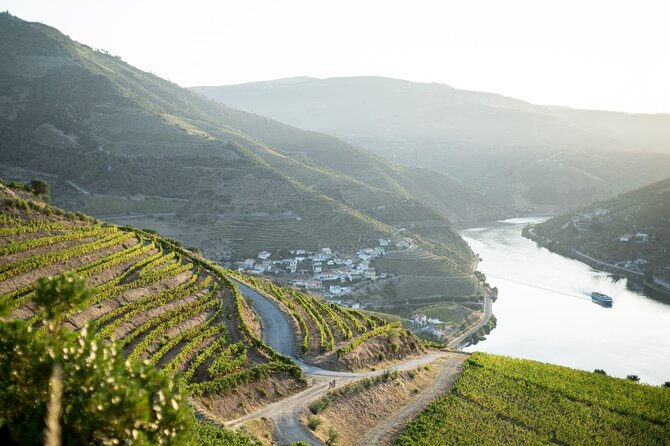 Premium Private Douro Tour: 2 Wineries With Tastings & Cruise - Cancellation Policy