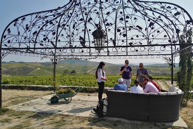 Premium Private Douro Tour: 3 Wineries With Tastings & Lunch - Culinary Delights