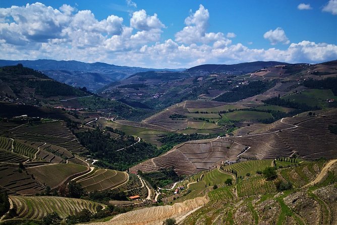 Premium Private Douro Tour: 3 Wineries With Tastings & Lunch - The Sum Up