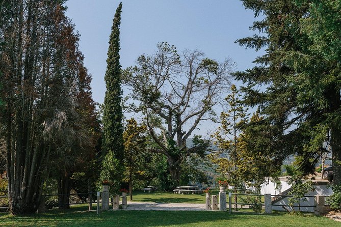 Premium Private Douro & Vinho Verde Tour: Wine Tastings & Lunch - Inclusions