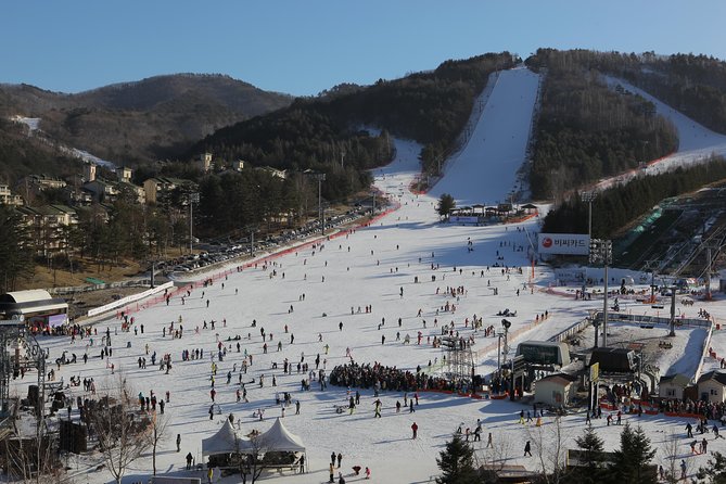 [Premium Private Ski Tour] Pyeongchang Olympic Site (Private Ski Lesson) - Additional Information