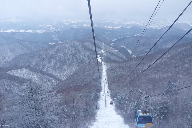[Premium Private Ski Tour] Pyeongchang Olympic Site (Private Ski Lesson) - Notable Features