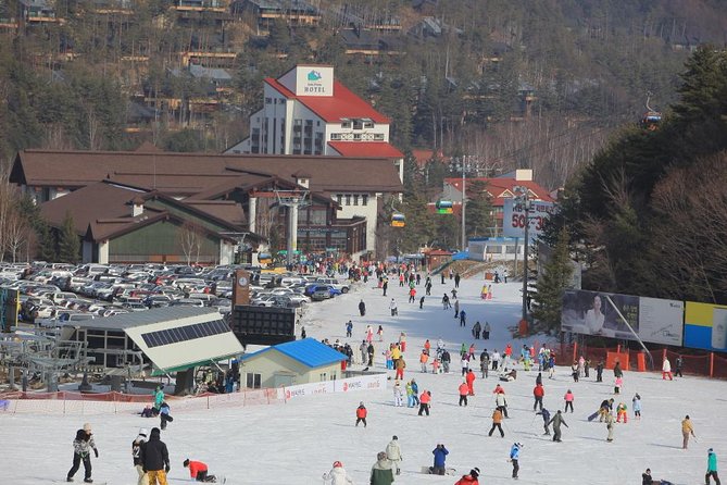 [Premium Private Ski Tour] Pyeongchang Olympic Site (Private Ski Lesson) - Directions