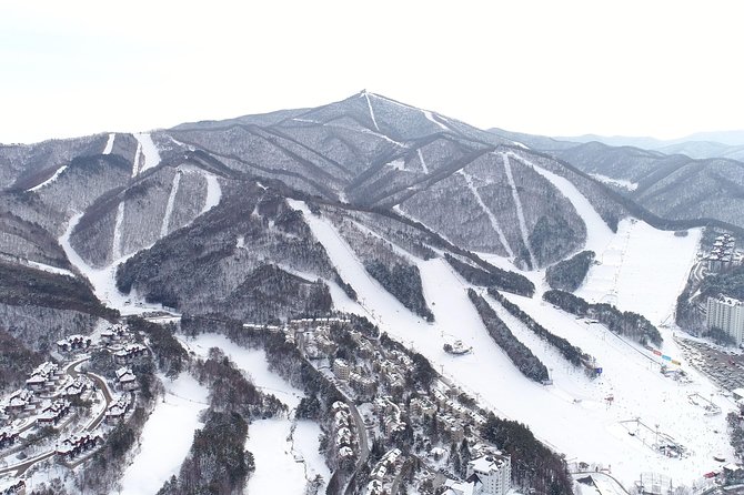 [Premium Private Ski Tour] Pyeongchang Olympic Site (Private Ski Lesson) - Common Questions