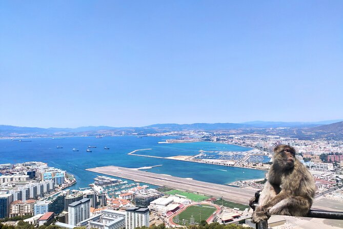 Premium Private Trip to Gibraltar From Seville - The Sum Up