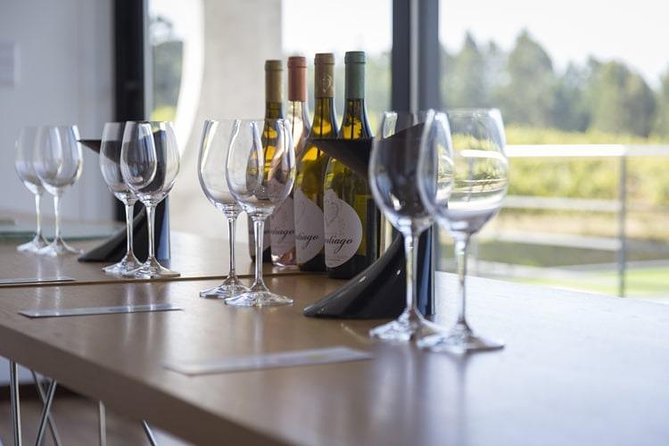 Premium Private Vinho Verde Tour:2 Wineries With Tastings & Lunch - Learn About the Wine Regions History