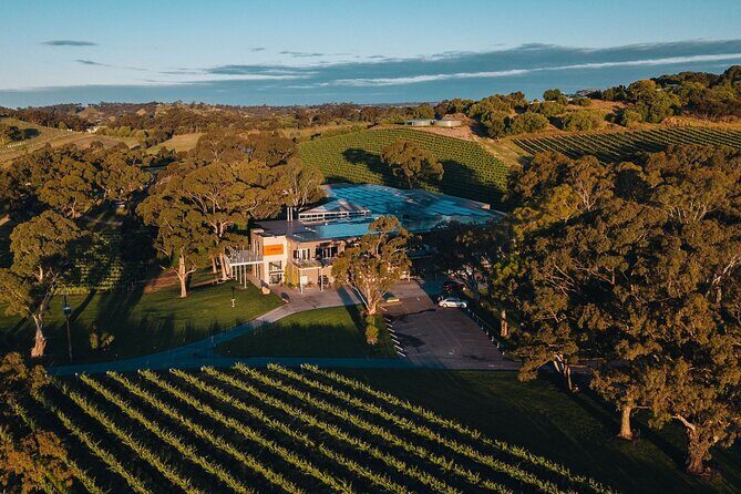 Premium Private Winery Tour: Customizable Experience - Authentic Insights from Reviews