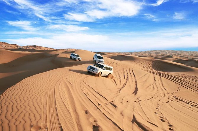 Premium Red Dune Safari With Camel Ride & BBQ Dinner in Bedouin Camp - Overall Recommendations