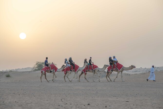 Premium Red Dunes Bashing With Quad Bike, Camel, Falcon &Vip Camp - Pricing and Value for Money