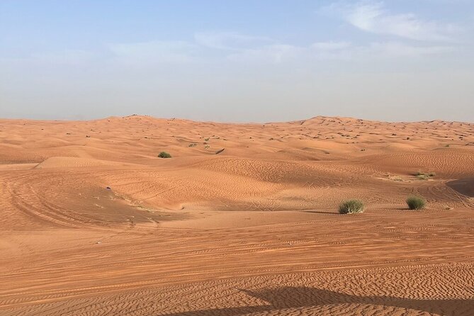 Premium Red Dunes Desert Safari Dubai With Quad Bike Option - Common Questions