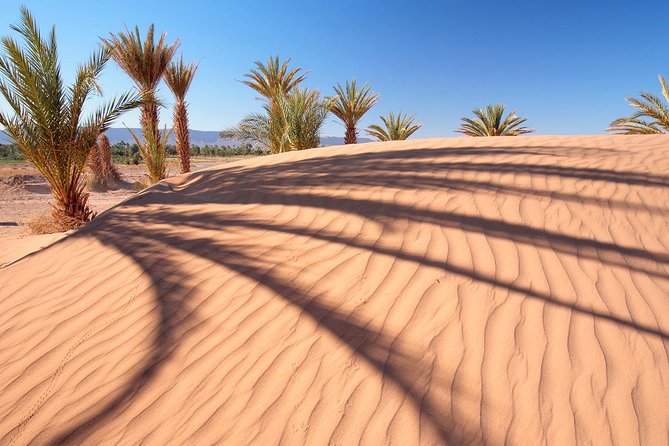 Premium Red Dunes Safari and Camel Safari With BBQ Dinner - Thrilling 4x4 Dune Ride