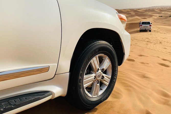 Premium Red Dunes Safari and Camel Safari With BBQ Dinner - Exhilarating Camel Safari Experience