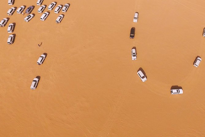 Premium Red Dunesdesert Safari & Camel Safari Sand Boarding With BBQ Live Shows - Mesmerizing Entertainment at the Campsite