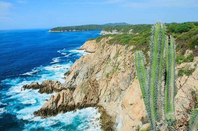 Premium Shore Excursion & Local Culture Tour - What to Expect from the Huatulco Shore Excursion