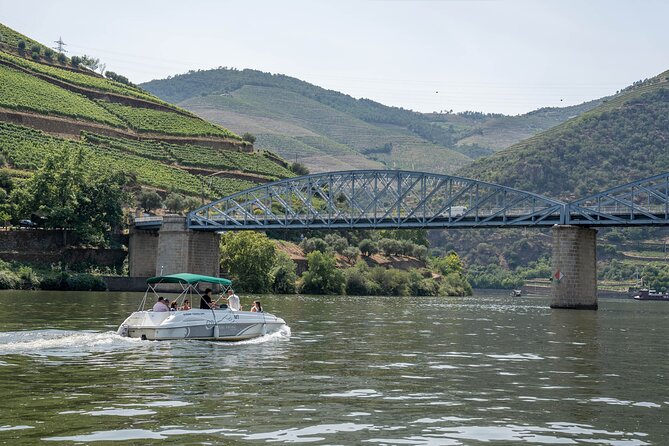 Premium Small Group Douro Valley Wine Tour From Porto - Tour Overview and Details