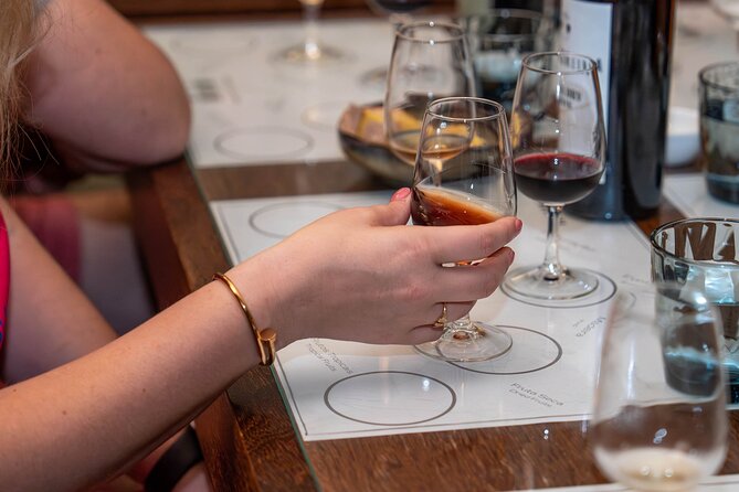 Premium Small Group Douro Valley Wine Tour From Porto - Traveler Photos and Reviews