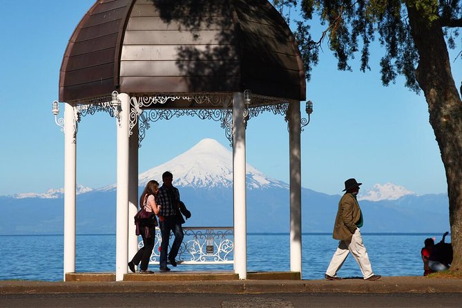 Premium Small-Group Half Day Tour to Frutillar in Puerto Varas - Tour Details