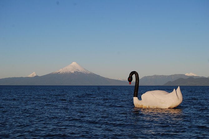 Premium Small-Group Half Day Tour to Frutillar in Puerto Varas - Frequently Asked Questions